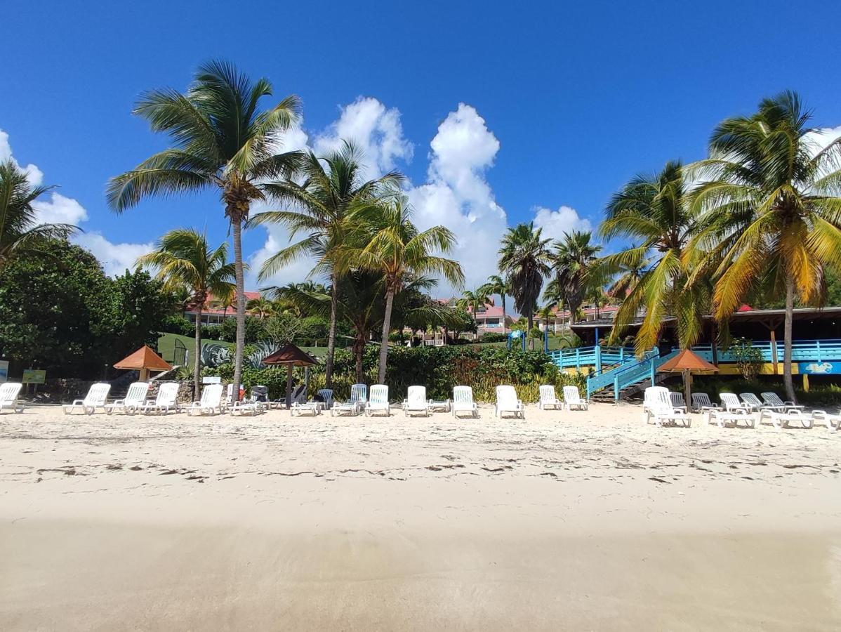 Studio vue mer Guadeloupe Sainte-Anne  Exterior foto